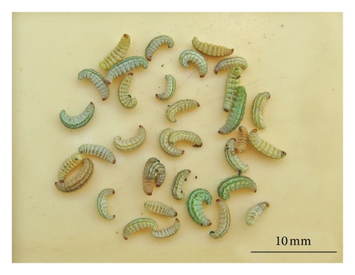 Details are in the caption following the image
