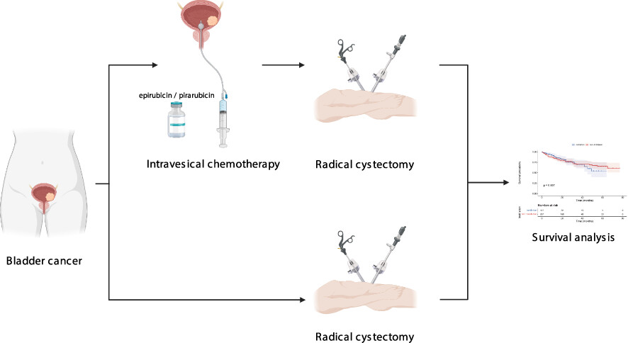 Singe intraoperative instillation of chemotherapy during radical cystectomy for bladder cancer: Oncological outcome and survival predictors