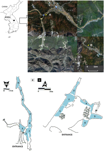 Details are in the caption following the image