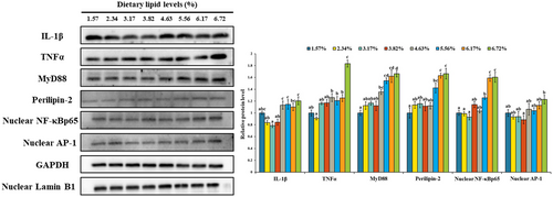Details are in the caption following the image Details are in the caption following the image