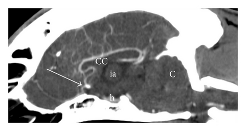 Details are in the caption following the image Details are in the caption following the image