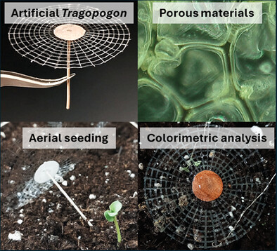 A Biodegradable, Porous Flier Inspired by a Parachute-Like Tragopogon Fruit for Environmental Preservation