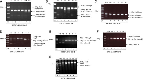 Details are in the caption following the image Details are in the caption following the image
