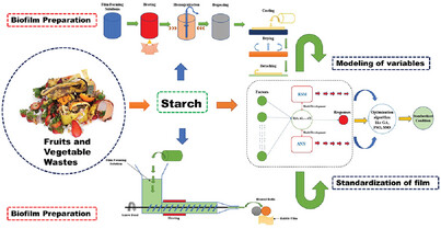Starch-Based Biodegradable Film from Fruit and Vegetable Waste and Its Standardization Modules Based on Neural Networks and Response Surface Methodology
