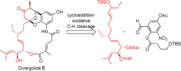 Total Synthesis of Divergolides E and H