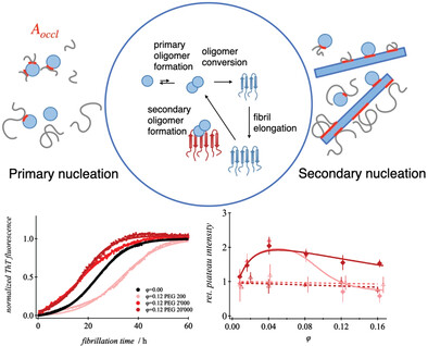 Inherent Adaptivity of Alzheimer Peptides to Crowded Environments