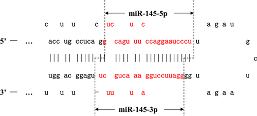Details are in the caption following the image