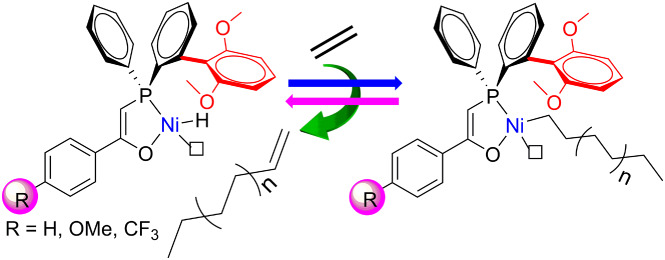 Facile synthesis of sterically demanding SHOP-type nickel catalysts for ethylene polymerization