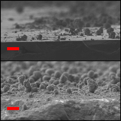 Surface mineralization with controlled polymerization of dopamine