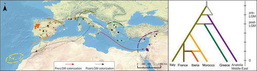 Details are in the caption following the image Details are in the caption following the image