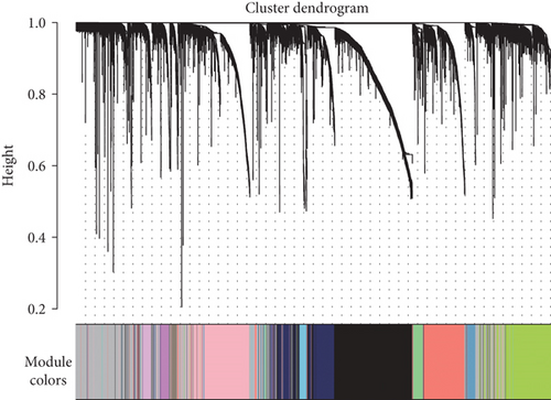 Details are in the caption following the image Details are in the caption following the image