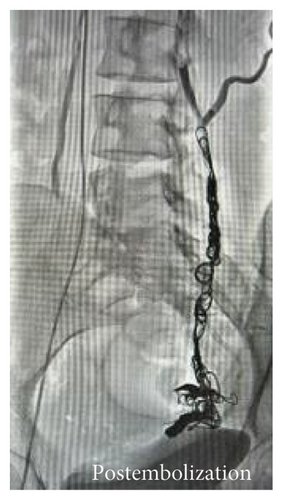 Details are in the caption following the image Details are in the caption following the image