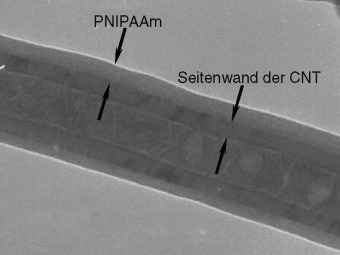 Responsive Aligned Carbon Nanotubes