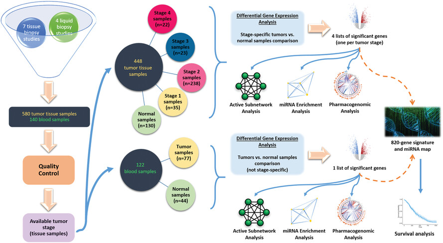 Identification of diagnostic markers of pancreatic ductal adenocarcinoma using transcriptomic tumour and blood sample data