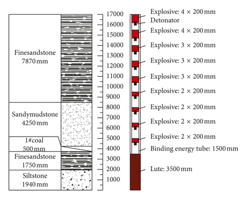 Details are in the caption following the image Details are in the caption following the image