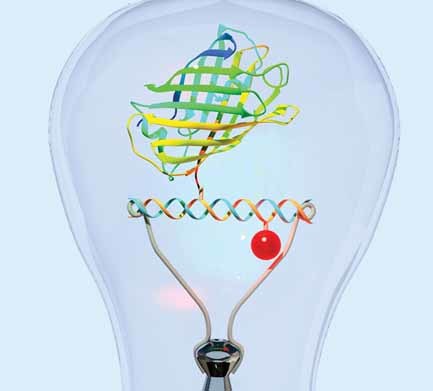 Single-Molecule Investigations of a Photoswitchable Nanodevice