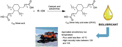 Excellent Properties of Dimer Fatty Acid Esters as Biolubricant Produced by Catalyst- and Solvent-Free Esterification