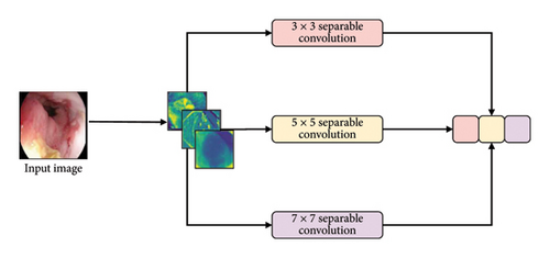 Details are in the caption following the image Details are in the caption following the image