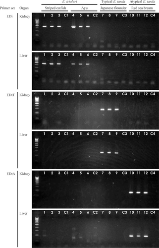 Details are in the caption following the image Details are in the caption following the image