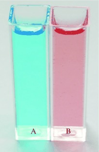 Chameleon Labels for Staining and Quantifying Proteins