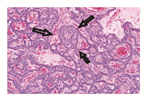 Details are in the caption following the image Details are in the caption following the image