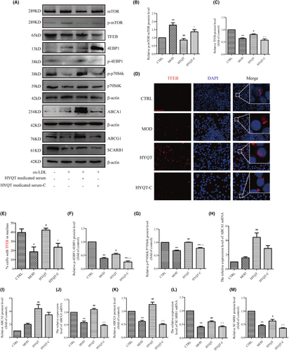 Details are in the caption following the image Details are in the caption following the image