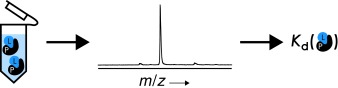 New Mass Spectrometric Methods for the Quantification of Protein–Ligand Binding in Solution