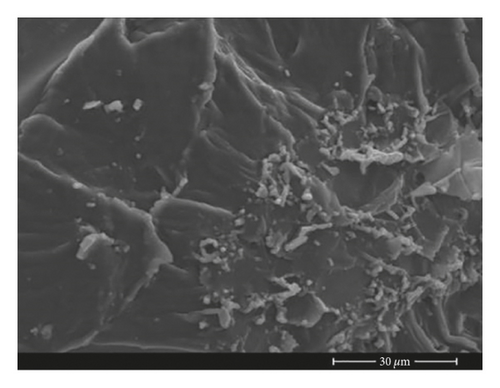 Details are in the caption following the image