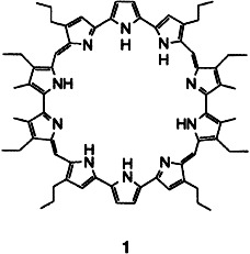 Turcasarin, the Largest Expanded Porphyrin to Date