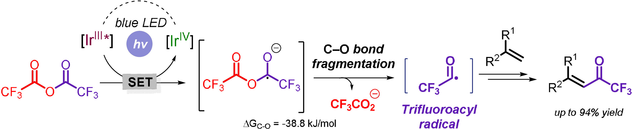 Radical Trifluoroacetylation of Alkenes Triggered by a Visible-Light-Promoted C–O Bond Fragmentation of Trifluoroacetic Anhydride