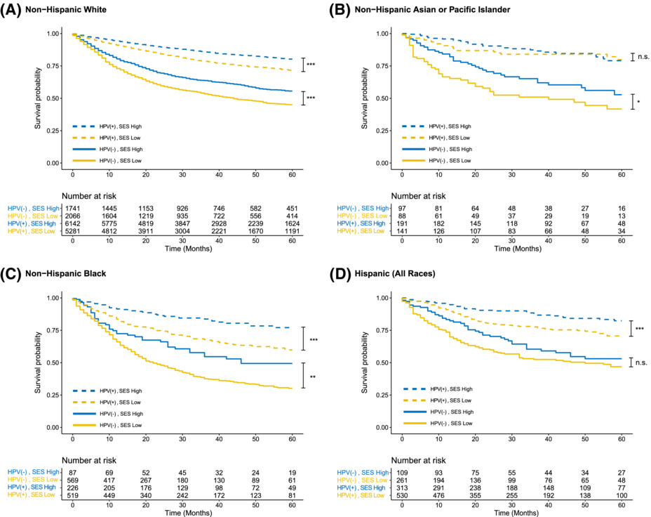 Race and socioeconomic status interact with HPV to influence survival disparities in oropharyngeal squamous cell carcinoma