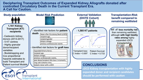 Deciphering transplant outcomes of expanded kidney allografts donated after controlled circulatory death in the current transplant era. A call for caution