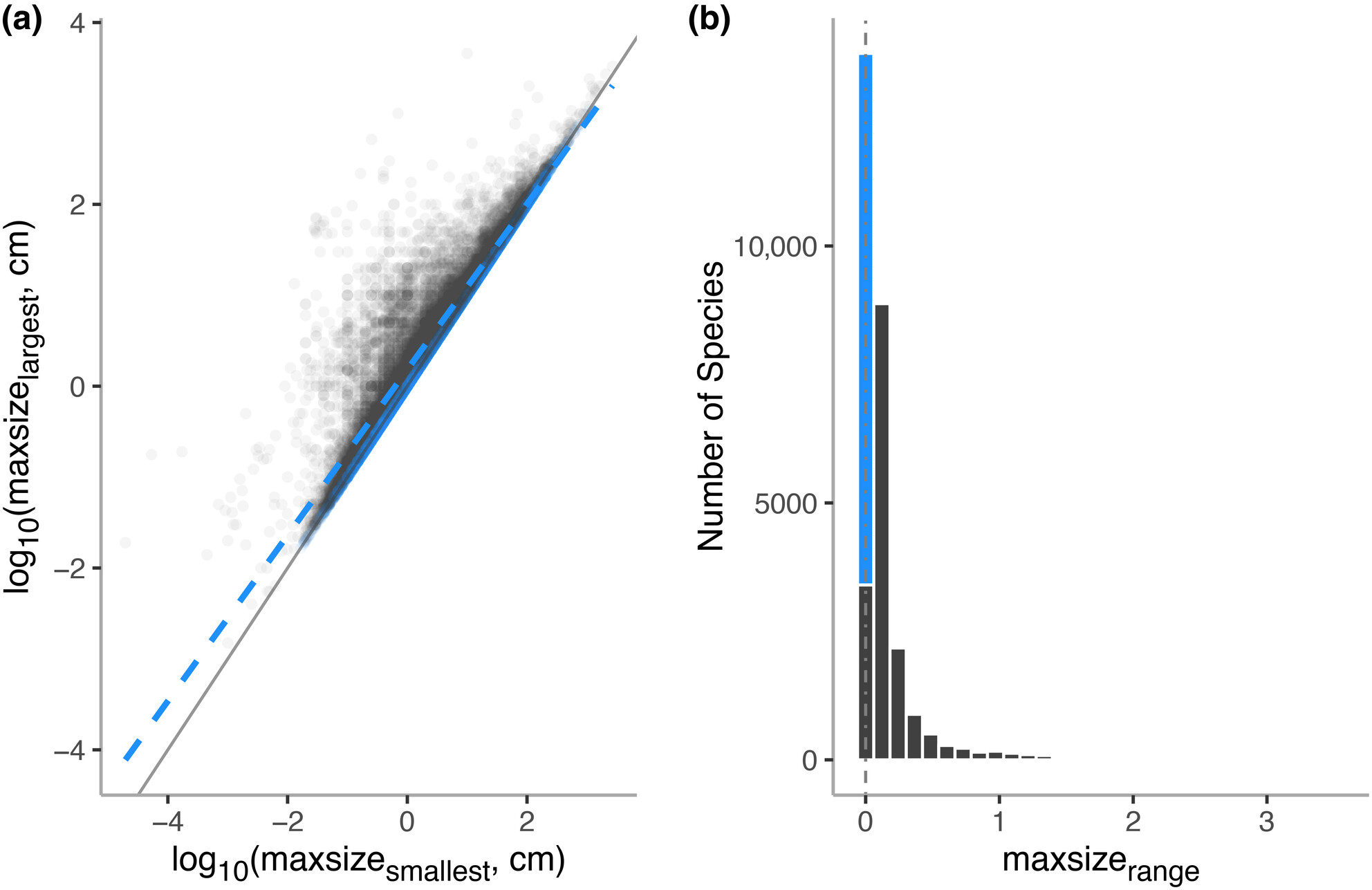 Navigating uncertainty in maximum body size in marine metazoans