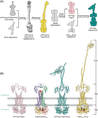 Details are in the caption following the image Details are in the caption following the image