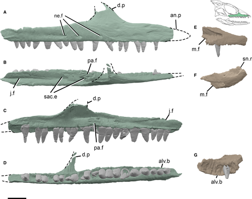Details are in the caption following the image