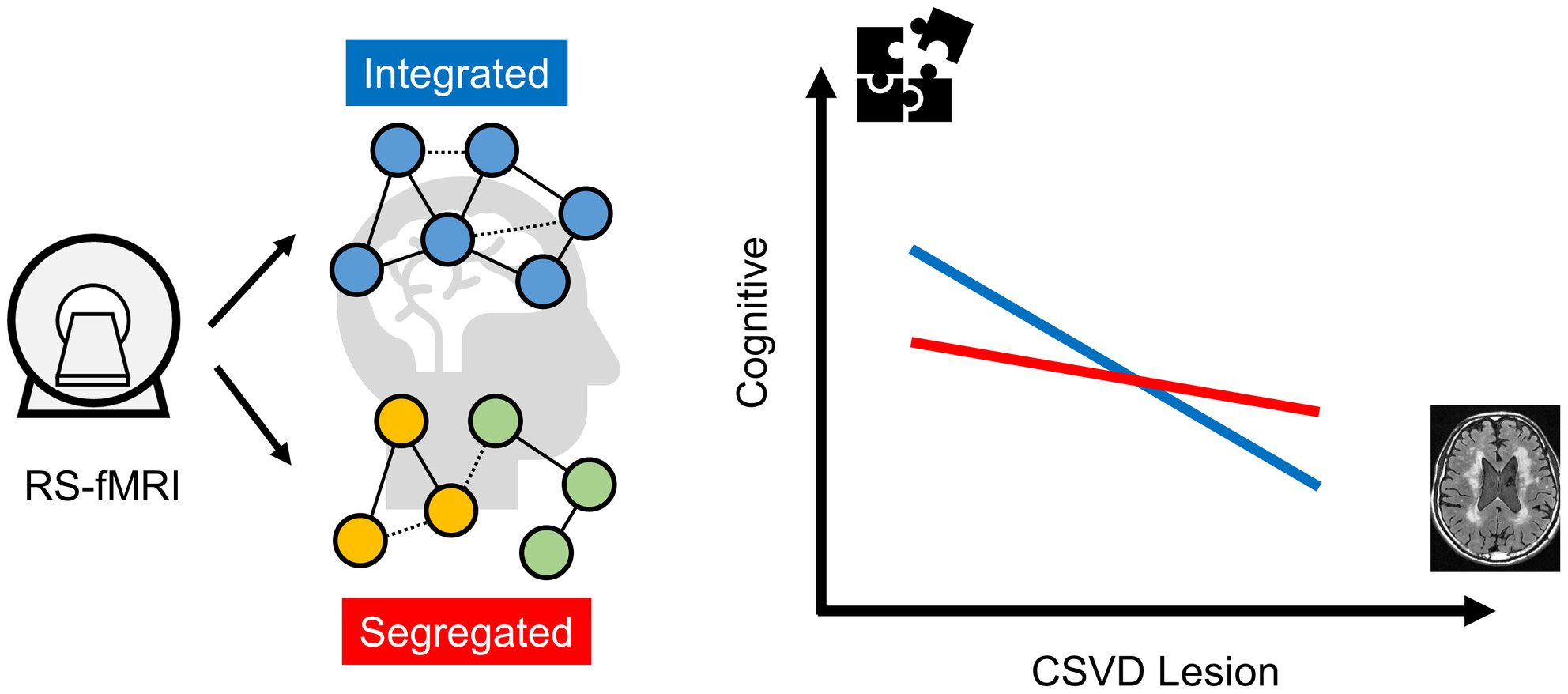 Functional Segregation-Integration Preference Configures the Cognitive Decline Against Cerebral Small Vessel Disease: An MRI Study