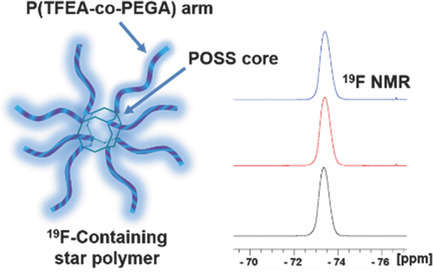 Fluorinated POSS-Star Polymers for 19F MRI