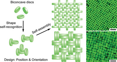 Self-Assembled Tetratic Crystals by Orthogonal Colloidal Force