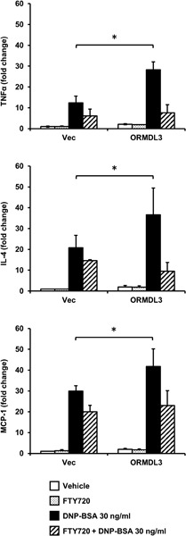 ORMDL3 overexpression facilitates FcεRI-mediated transcription of proinflammatory cytokines and thapsigargin-mediated PERK phosphorylation in RBL-2H3 cells