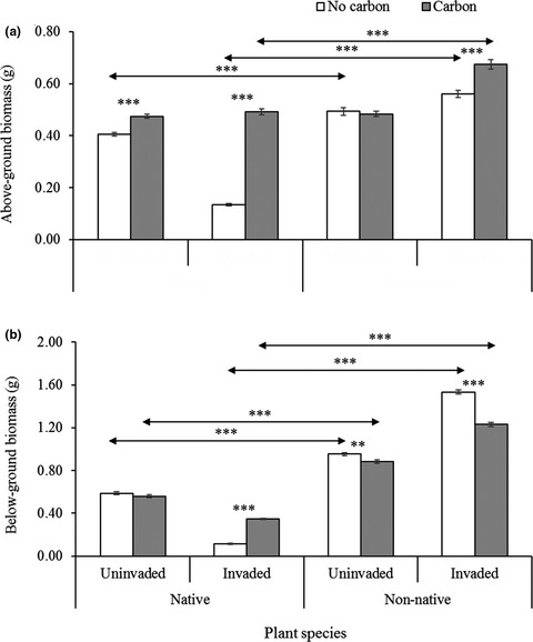 Allelopathy and its coevolutionary implications between native and non-native neighbors of invasive Cynara cardunculus L.