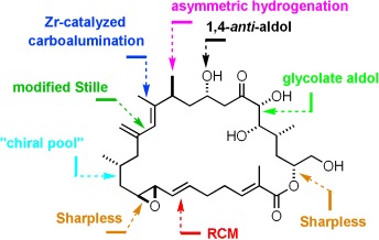 Total Syntheses of Amphidinolide H and G