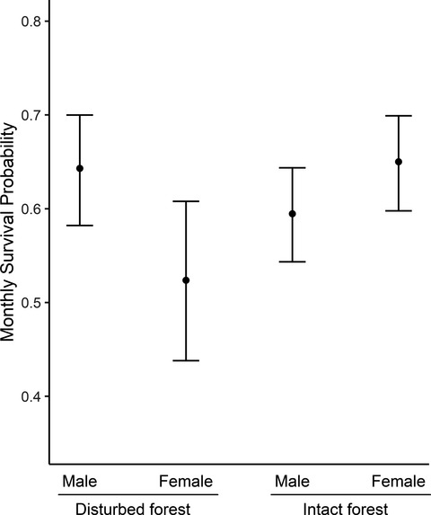 Effects of forest disturbance on the fitness of an endemic rodent in a biodiversity hotspot
