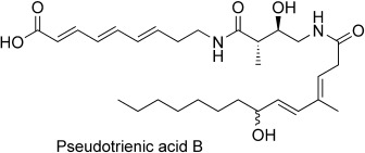 Total Synthesis of Pseudotrienic Acid B: A Bioactive Metabolite from Pseudomonas sp. MF 381-IODS