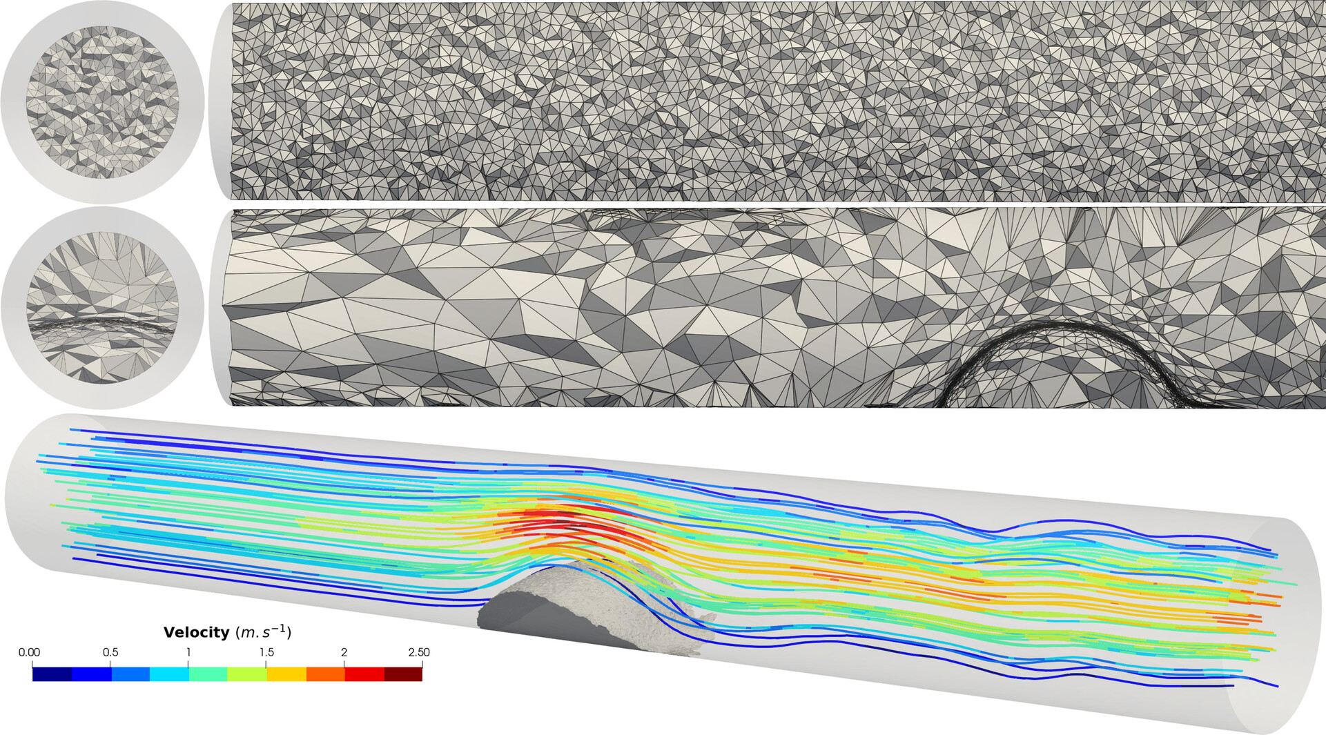 A Continuum Approach With Adaptive Mesh Refinement for Platelet Plug Formation Issue 7, 2025