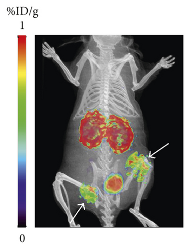 Details are in the caption following the image
