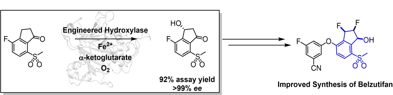 Engineering Hydroxylase Activity, Selectivity, and Stability for a Scalable Concise Synthesis of a Key Intermediate to Belzutifan