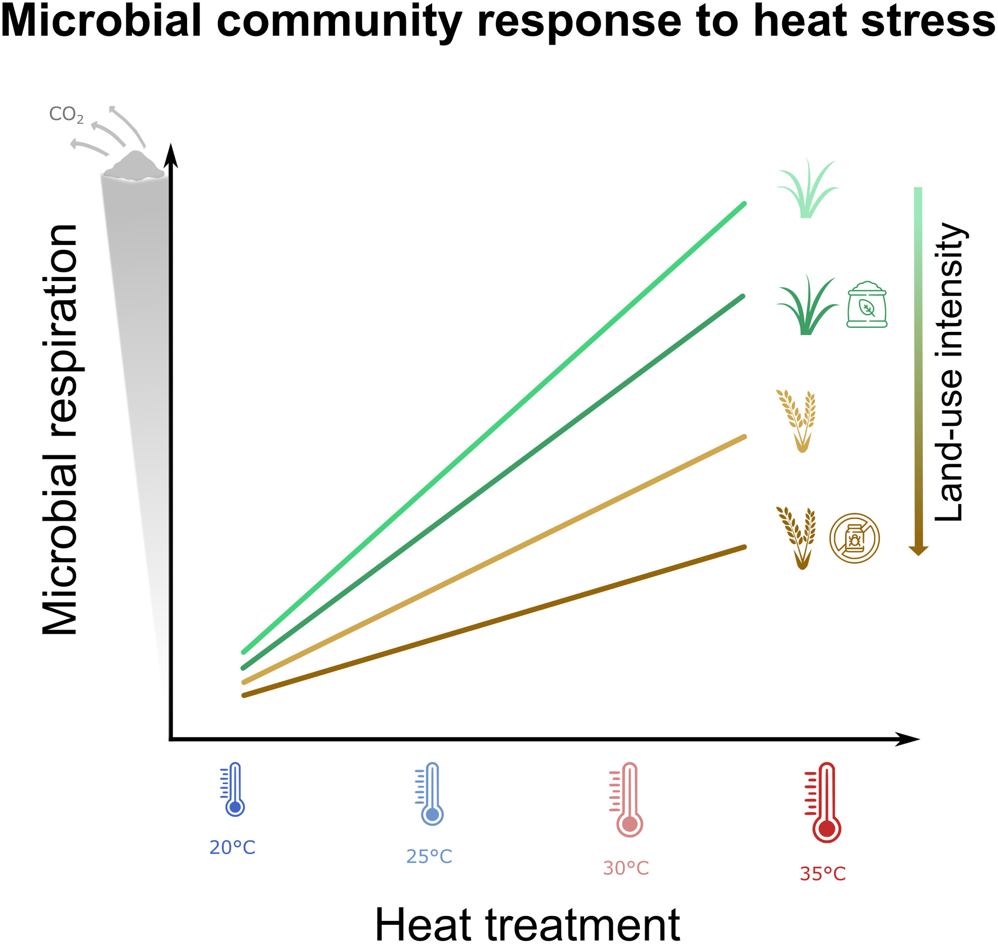 Sustainable Land Use Enhances Soil Microbial Respiration Responses to Experimental Heat Stress
