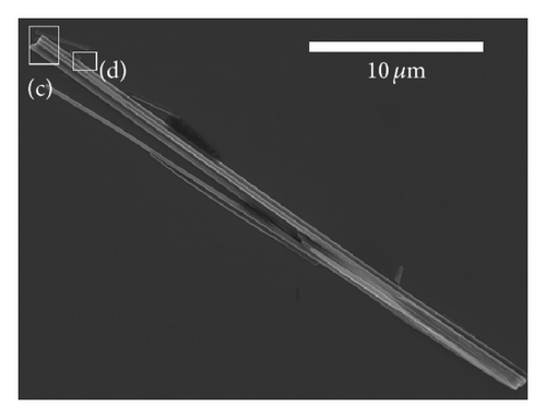 Details are in the caption following the image