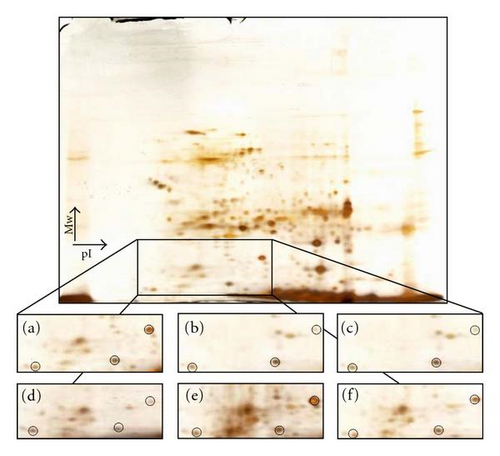 Details are in the caption following the image Details are in the caption following the image