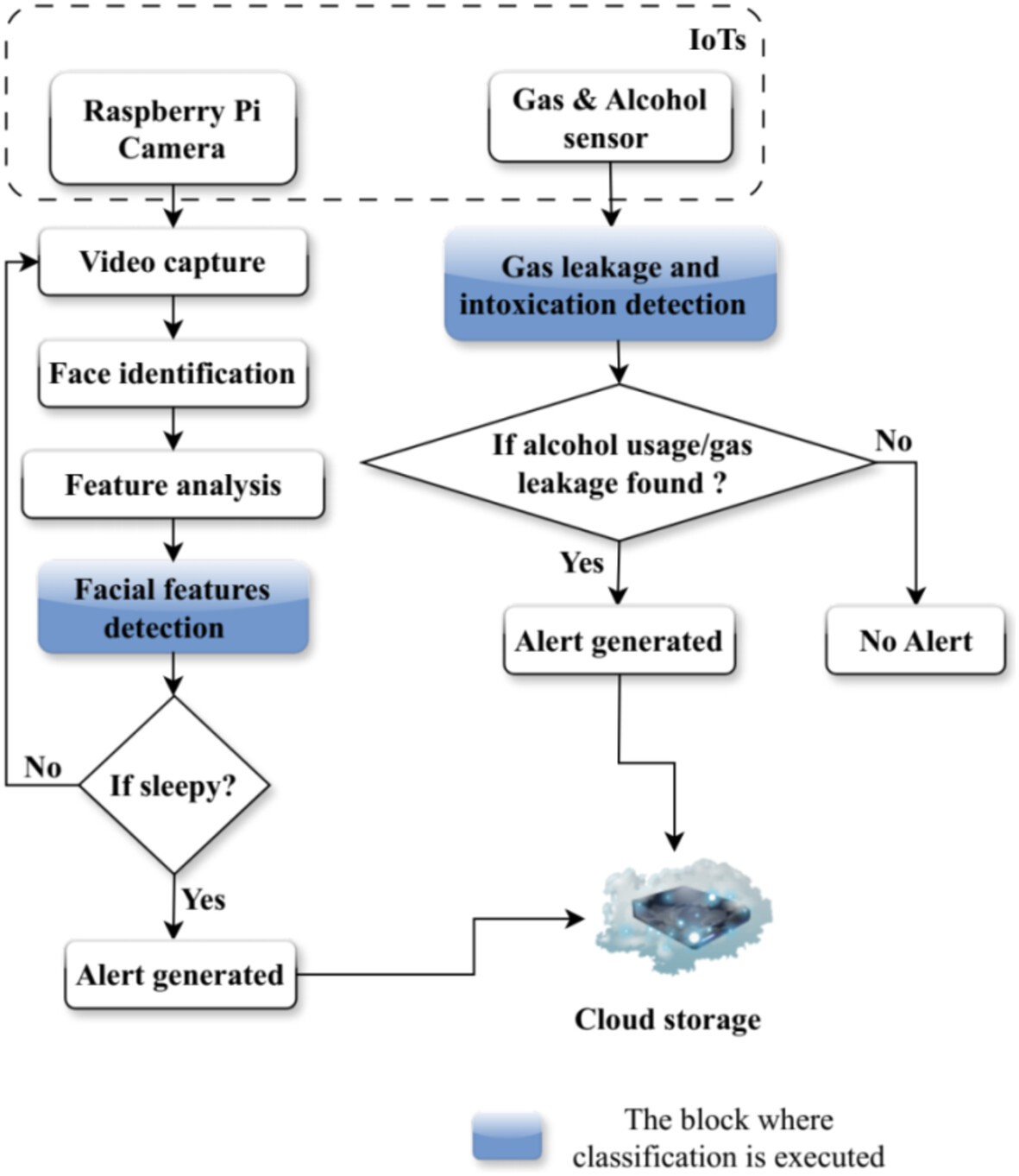 A Novel Approach to Driver Negligence Detection: EAXB-EVS Algorithm With IoT Integration
